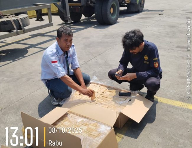 WhatsApp Image 2025-10-08 at 13.26.54_10a3824e