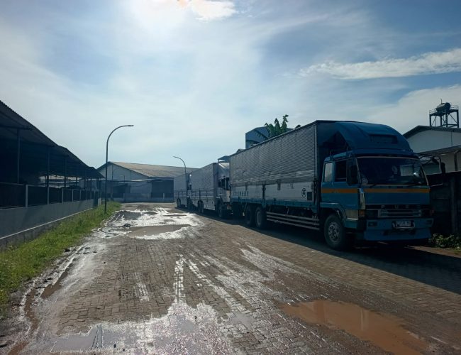 WhatsApp Image 2025-11-03 at 09.10.25_4ce65c52