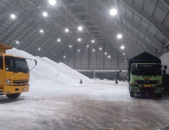 WhatsApp Image 2025-11-12 at 18.17.29_cf415b7e